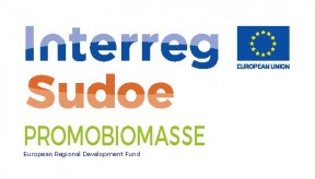 Final conference of the Promobiomasse project