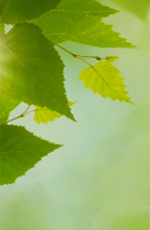 Medioambiente